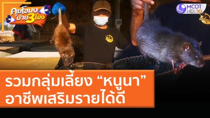 รวมกลุ่มเลี้ยง “หนูนา” อาชีพเสริมรายได้ดี (16 เม.ย. 64) คุยโขมงบ่าย 3 โมง