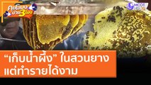 “เก็บน้ำผึ้ง” ในสวนยางเป็นอาชีพเสริม แต่ทำรายได้งาม! (16 เม.ย. 64) คุยโขมงบ่าย 3 โมง