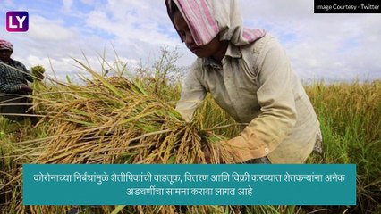 Monsoon 2021: यंदा देशात समाधानकारक पाऊस पडणार; सरासरीच्या ९८ टक्के पावसाचा हवामान विभागाचा अंदाज!