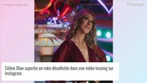 Céline Dion superbe en robe décolletée, promet 