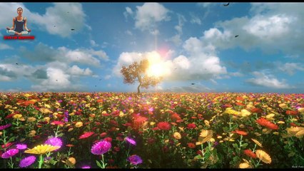 30 Minutes Meditation Music || Free Meditation Music || Sleep Music || Stay for Meditation