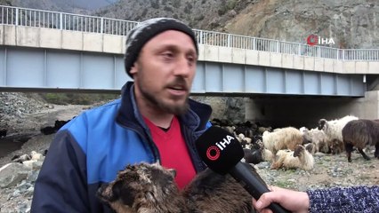 Artvin’de yayla göçü başladı