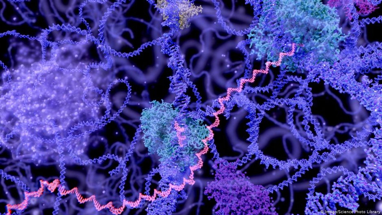 mRNA aşıları (Moderna, Biontech) genetik yapımızı değiştirebilir mi?