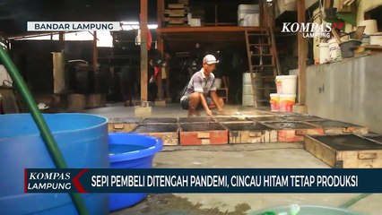 Sepi Pembeli di Tengah Pandemi, Cincau Hitam Tetap Produksi