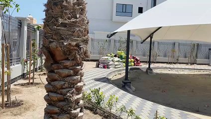 افتتاح حديقة الحساوي بالدير بعد رمضان