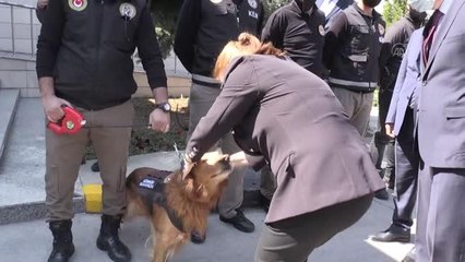 Son dakika: Ticaret Bakanı Pekcan, Kapıkule'de giriş çıkış rekorları kırılmaya devam ettiğini belirtti Açıklaması