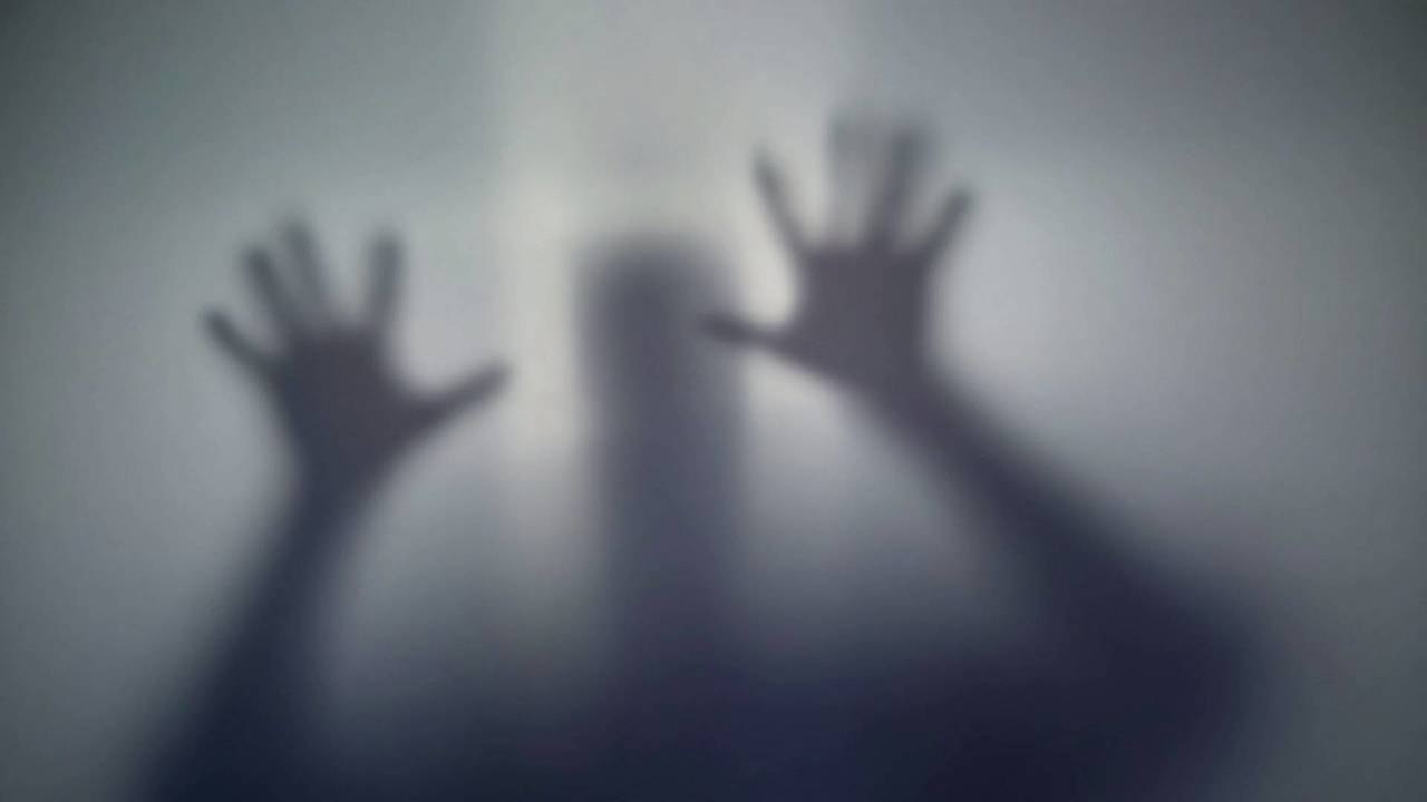 The Terrifying Creature a Woman Saw Out Her Window Turned Out to Be a Croissant