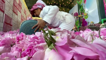 En Arabie saoudite, une ville fleurie de roses au milieu du désert