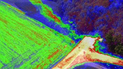 Así colaboran perros y drones en rescates y búsqueda de gente perdida- REDOG