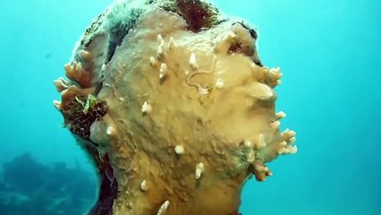 Top 10 Descubrimientos SUBACUÁTICOS Más Extraños De La Historia