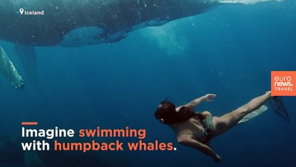 Swimming with whales in Iceland: This trip will take you out under the midnight sun