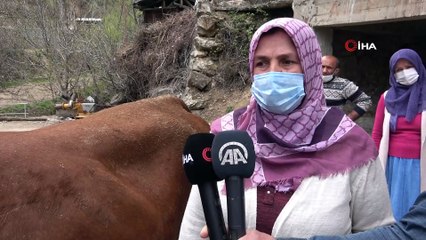 Yangının üzerinden 1 ayın geçtiği Dereiçi'nde yaralar sarılmaya devam ediyor