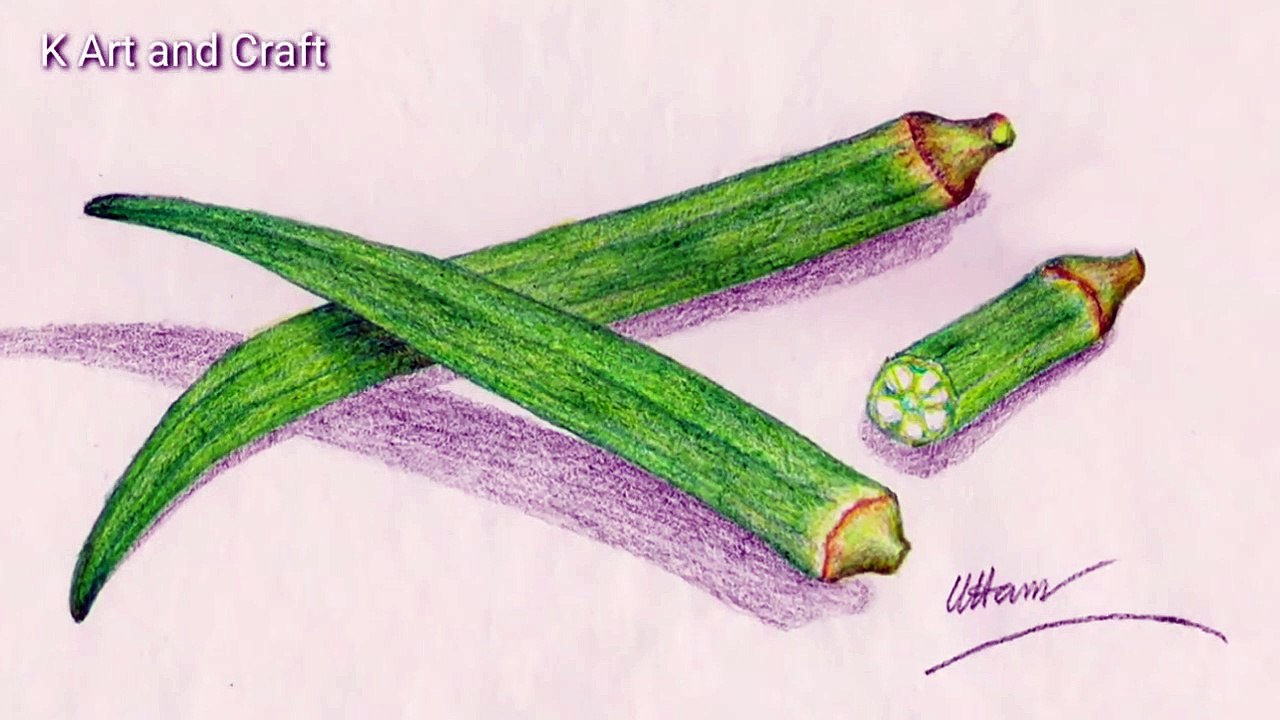 How To Draw Easy Lady’S Finger Step By Step Vegetables Drawing