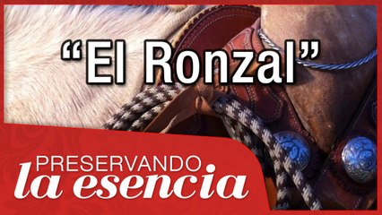 El Ronzal (ramal o cabestro), usos, nudos, etc. Montura charra.