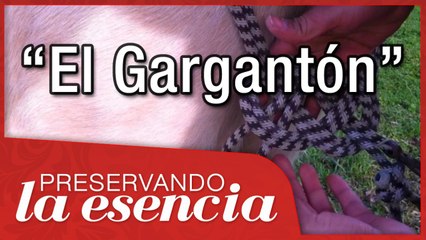 El gargantón charro. Cómo hacer el nudo de alamar, uso correcto, etc.