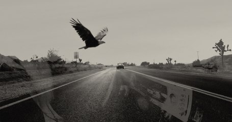 Billy F Gibbons - Desert High