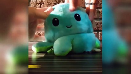 Charli D'Amelio New Tiktok Compilation 2020