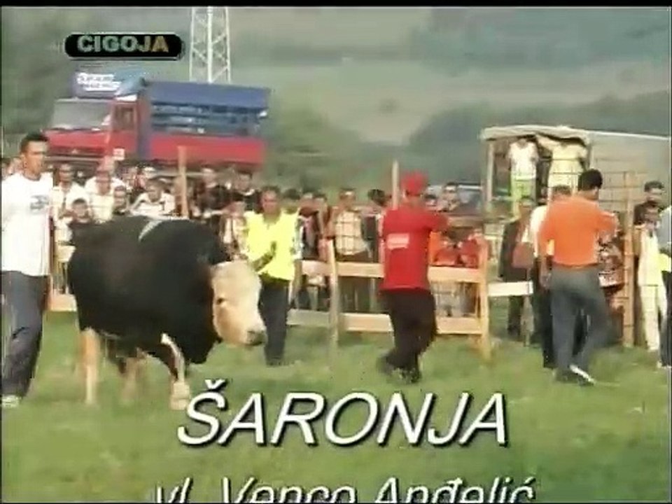 RUSKO SARONJA GRĐEVAC VISOKO 1996