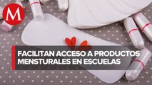 Diputados aprueban en comisión que productos menstruales sean gratis en escuelas