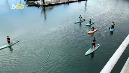 Fin-Tastic Footage! Video Shows Paddle Boarders Face-to-face With a Basking Shark!