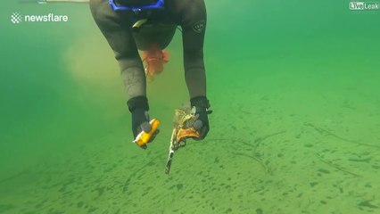Ce plongeur découvre quelque chose d'incroyable sous l'eau