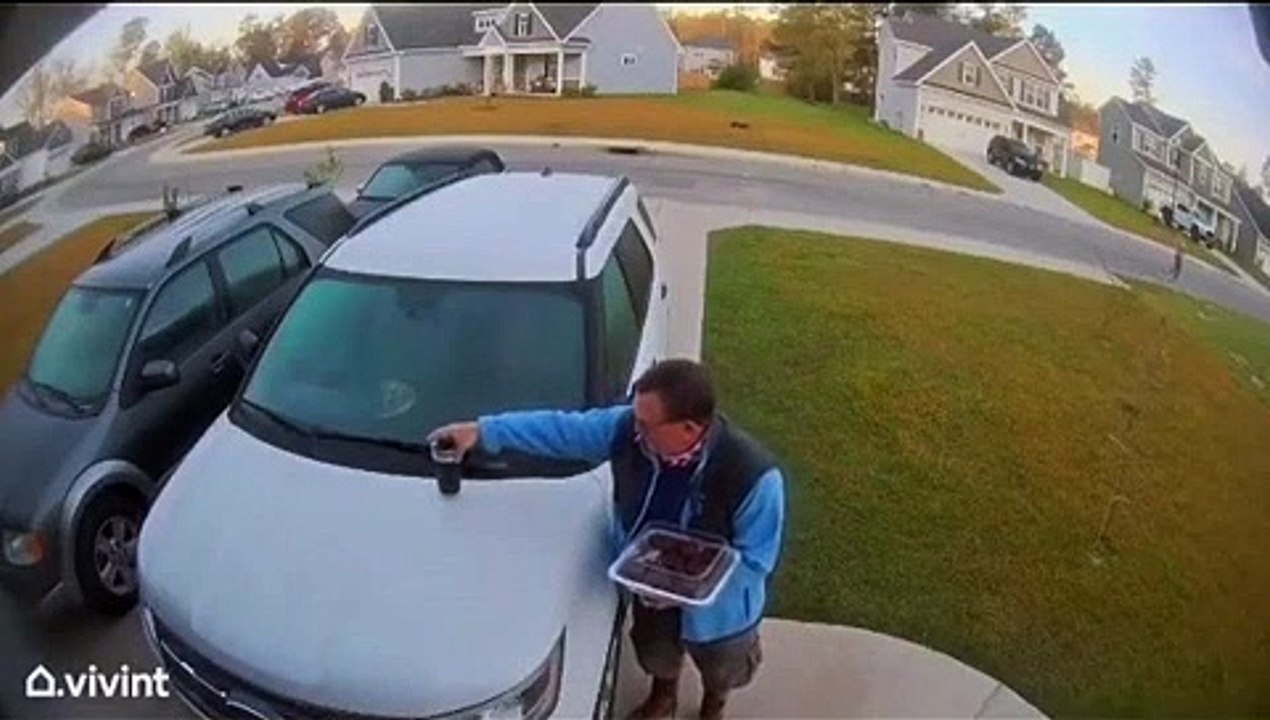 Quand un lynx s'en prend à une femme... Gros chat très en colère