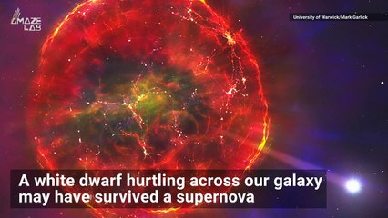 This Star Traveling Across The Milky Way May Have Survived a Supernova