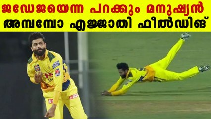 Ravindra Jadeja's brilliant fielding against Punjab Kings