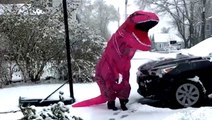 T-Rex enjoys a snowy spring day in New England