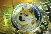 Dogecoin Price Increases More Than 100% After Elon Musk Tweets