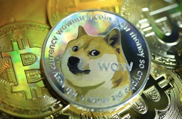 Dogecoin Price Increases More Than 100% After Elon Musk Tweets
