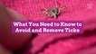 What You Need to Know to Avoid and Remove Ticks