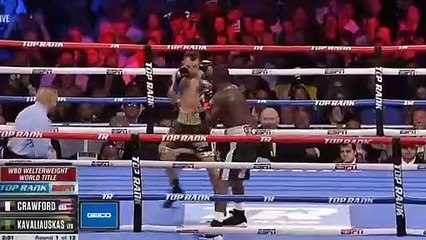 Terence Crawford Vs Egidijus Kavaliauskas Highlights