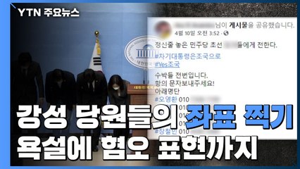 민주당 강성 당원들의 '좌표 찍기'...욕설에 혐오 표현까지 / YTN