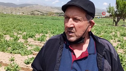 Üreticiler pazar yasaklarına esneklik istiyor