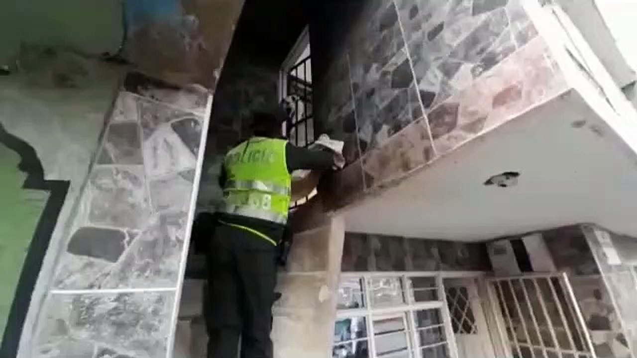 Gato rescatado