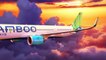Bamboo Airways: Asia'S Newest Airline