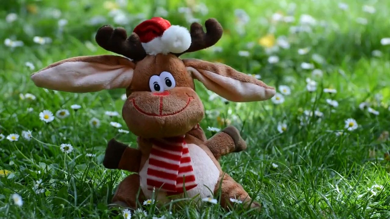 funny toy - funny dance with music