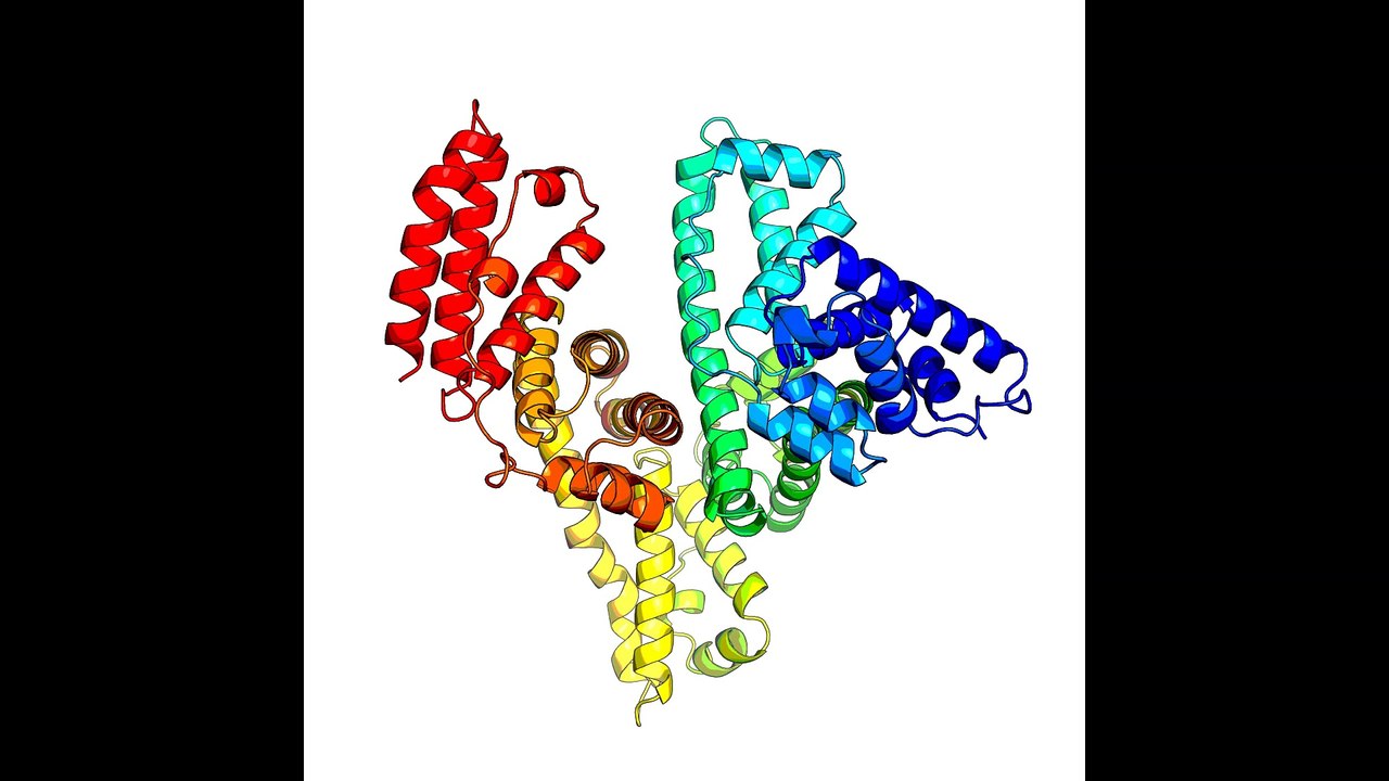 63Hz Albumin