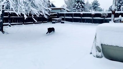 Storm blankets the western Plains with April snow