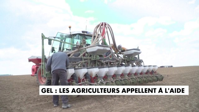 Gel des récoltes : les agriculteurs appellent à l'aide