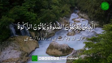 Beautiful Emotional Recitation | Surah Luqman | Qari Sherif Mostafa | V #1-6 | @IslamStatus360