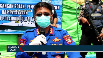Polisi Gagalkan Penyelundupan 100 Ton Rotan Ilegal yang Akan Dikirim ke Malaysia
