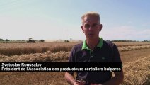 Les riches agriculteurs bulgares nourris aux fonds européens