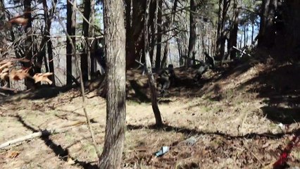 Αναπαράσταση της Μάχης του Οχυρού Ιστίμπεη 2017