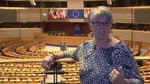 Au Parlement européen, 2 élus britanniques divisés sur le Brexit
