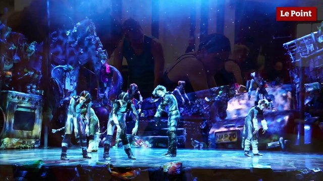 Cats au théâtre Mogador : les personnages et l'adaptation de la pièce