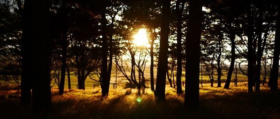 VOYAGE INTO THE NIGHT Trailer (2021)