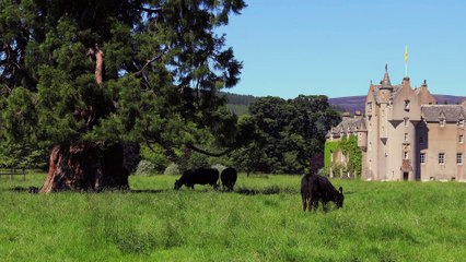 Look Back in Angus Trailer