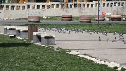 Sevimli avcının o anları gülümsetti